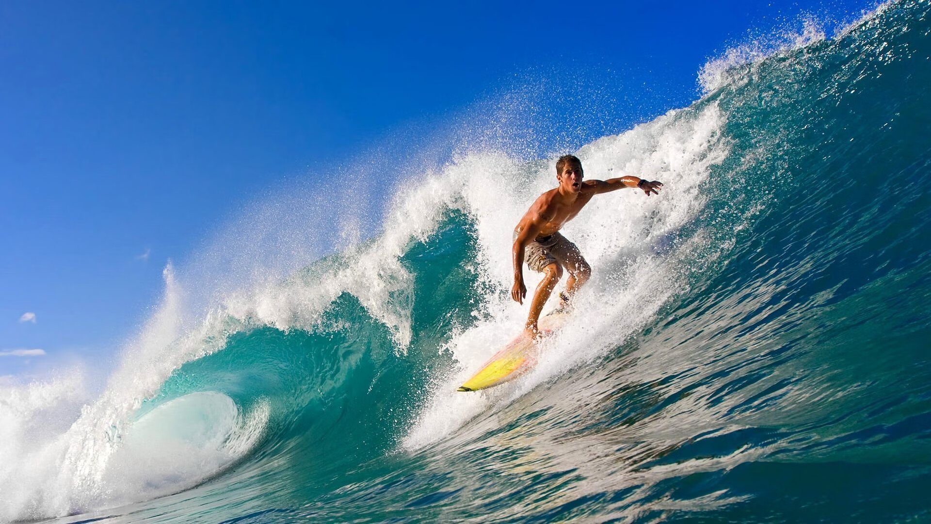 史上最绚丽“冠军庆典”，荣耀时刻永难忘怀，冠军庆祝动作